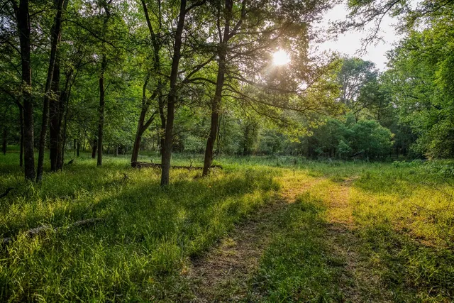 a view of a lake and mountain