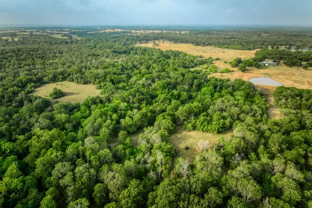 a view of a house with a lush green forest