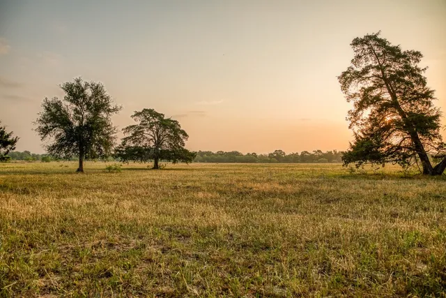 $3,800 | 196 Willy Road, Bastrop, TX 78602