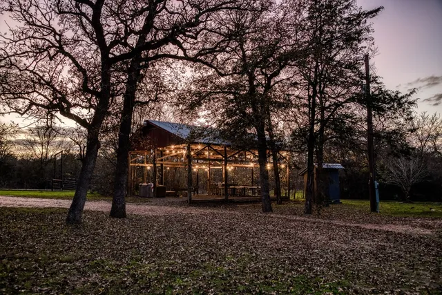 a view of a park with large trees