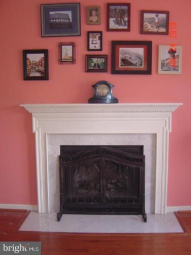 409 Butler Road Reisterstown, MD 21136 - Photo 7 of 11 Fireplace