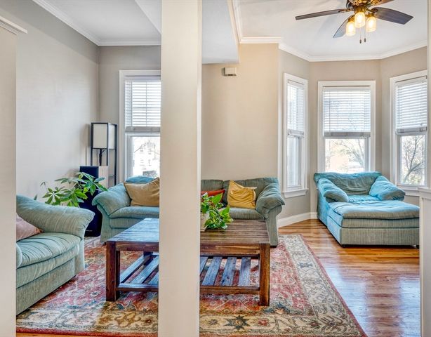 a living room with furniture and a potted plant