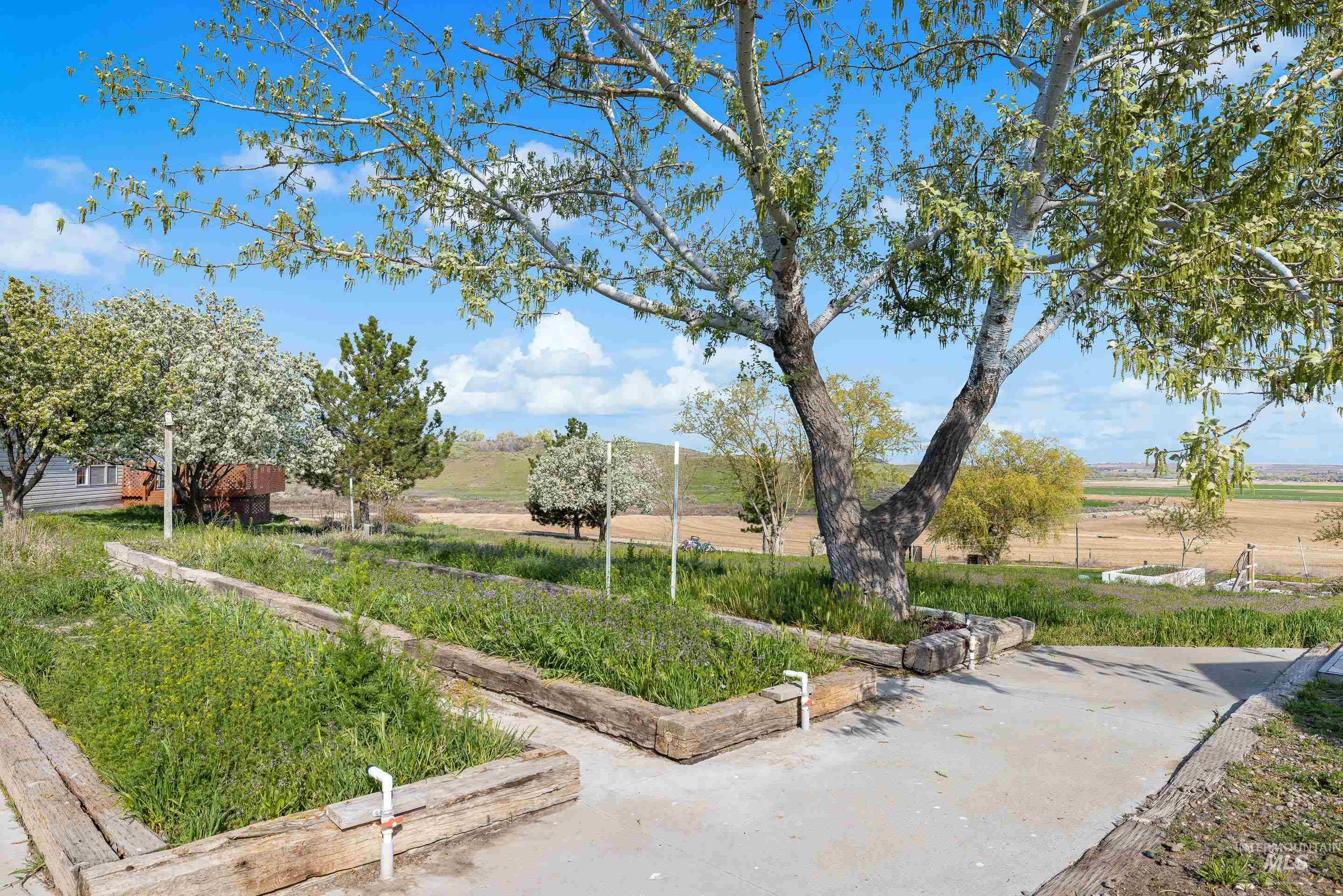 2427 Northside Road Homedale, ID 83628 - Photo 38 of 49 View of yard featuring a rural view