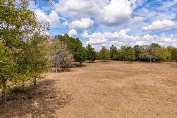 a view of a pathway with a yard