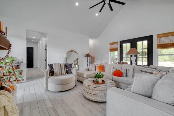 a living room with furniture and a potted plant
