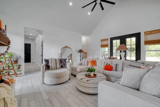 a living room with furniture and a potted plant