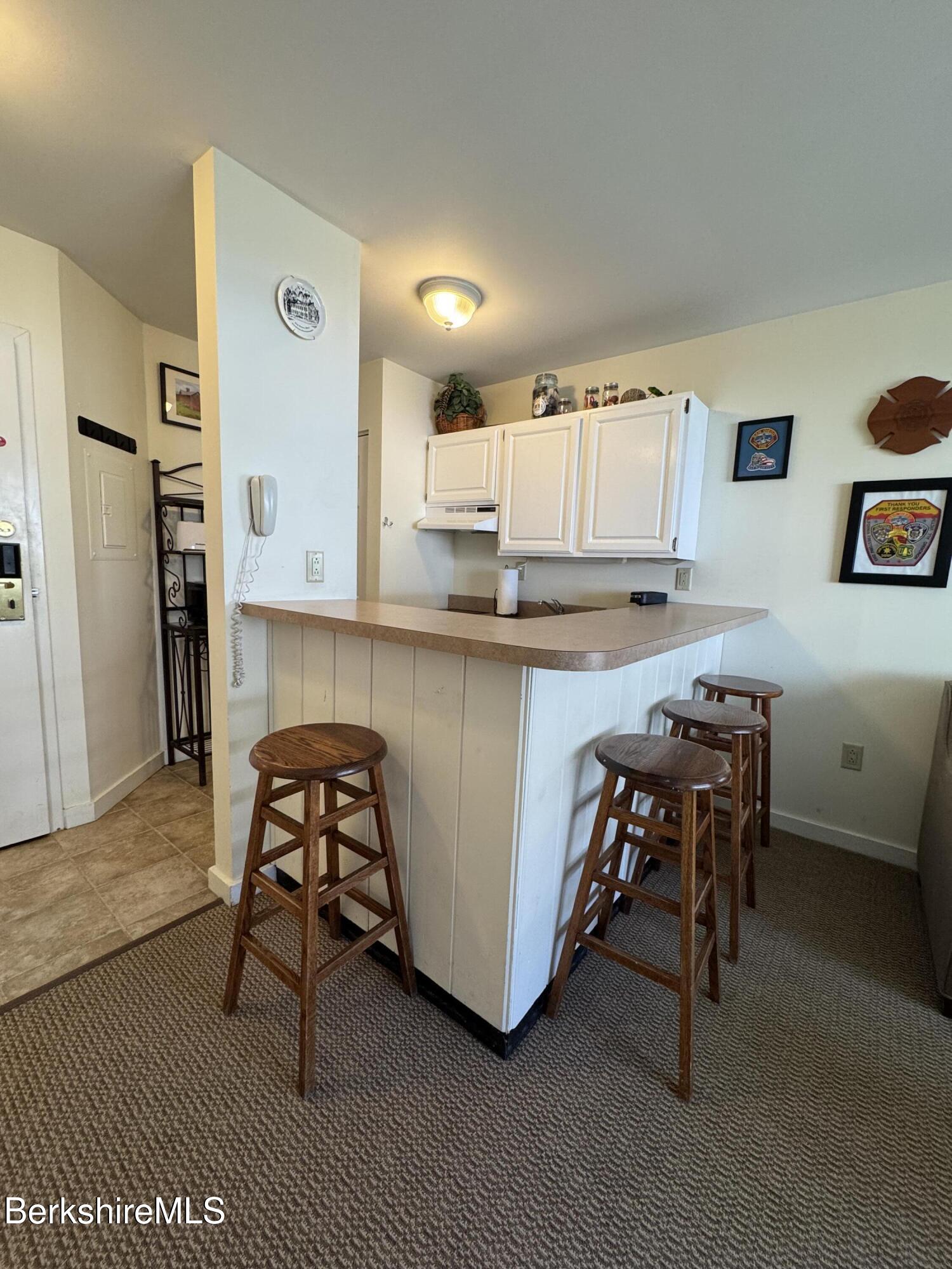 37 Corey Road, Unit 113 Hancock, MA 01237 - Photo 5 of 22 IMG_1206
