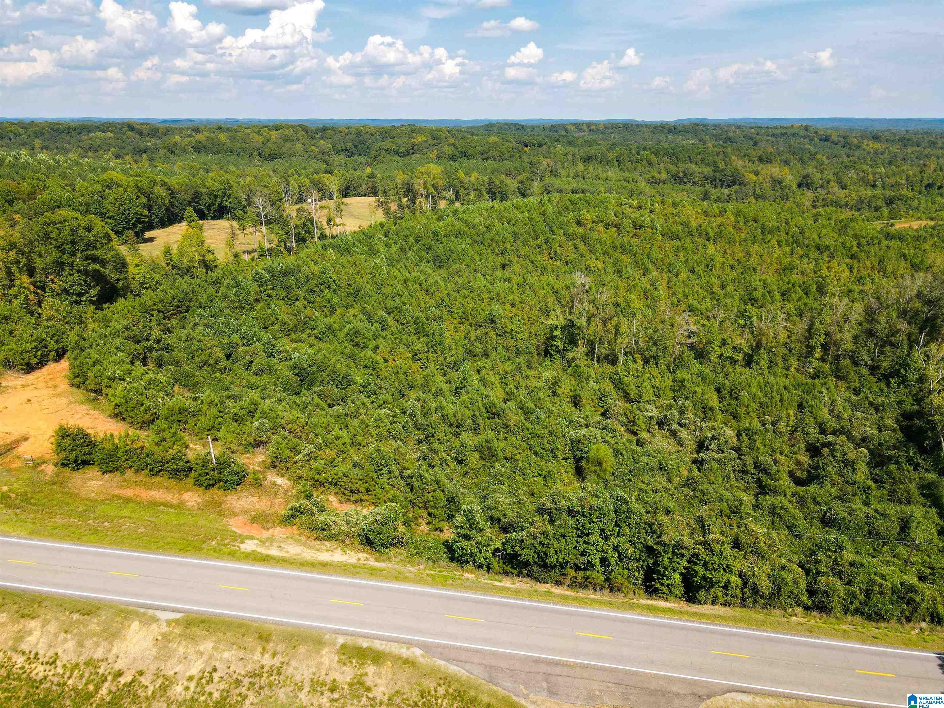 1 Highway 13, Unit 1 Berry, AL 35546 - Photo 45 of 52