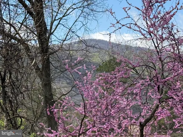 $25,000 | Lot 13 Jonathan Road, Linden, VA 22642