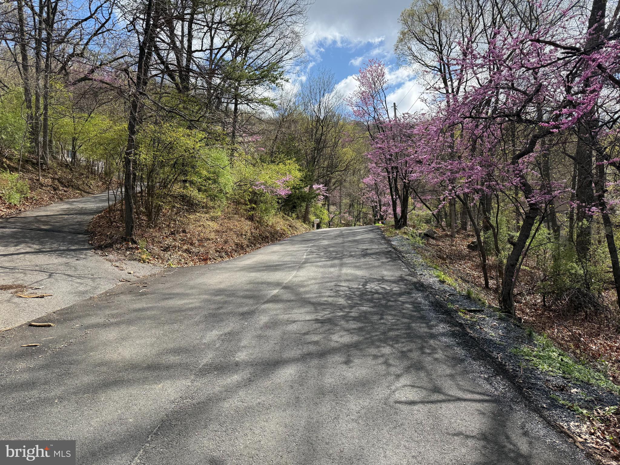 Lot 13 Jonathan Road Linden, VA 22642 - Photo 3 of 13 a pathway of a yard