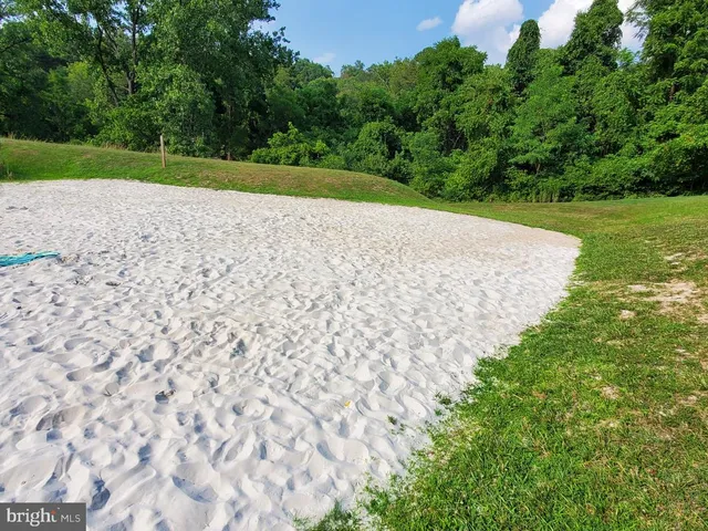 a view of a park with a trees
