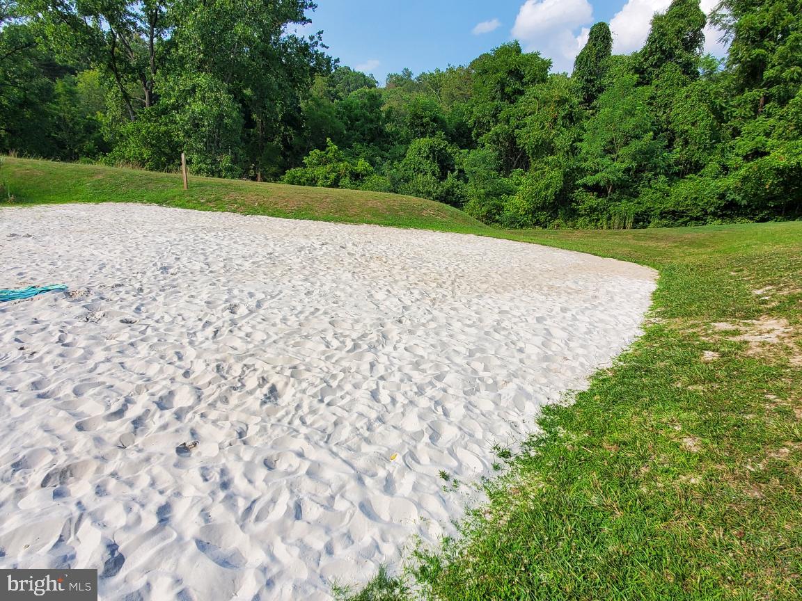 Lot 13 Jonathan Road Linden, VA 22642 - Photo 5 of 13 a view of a park with a trees