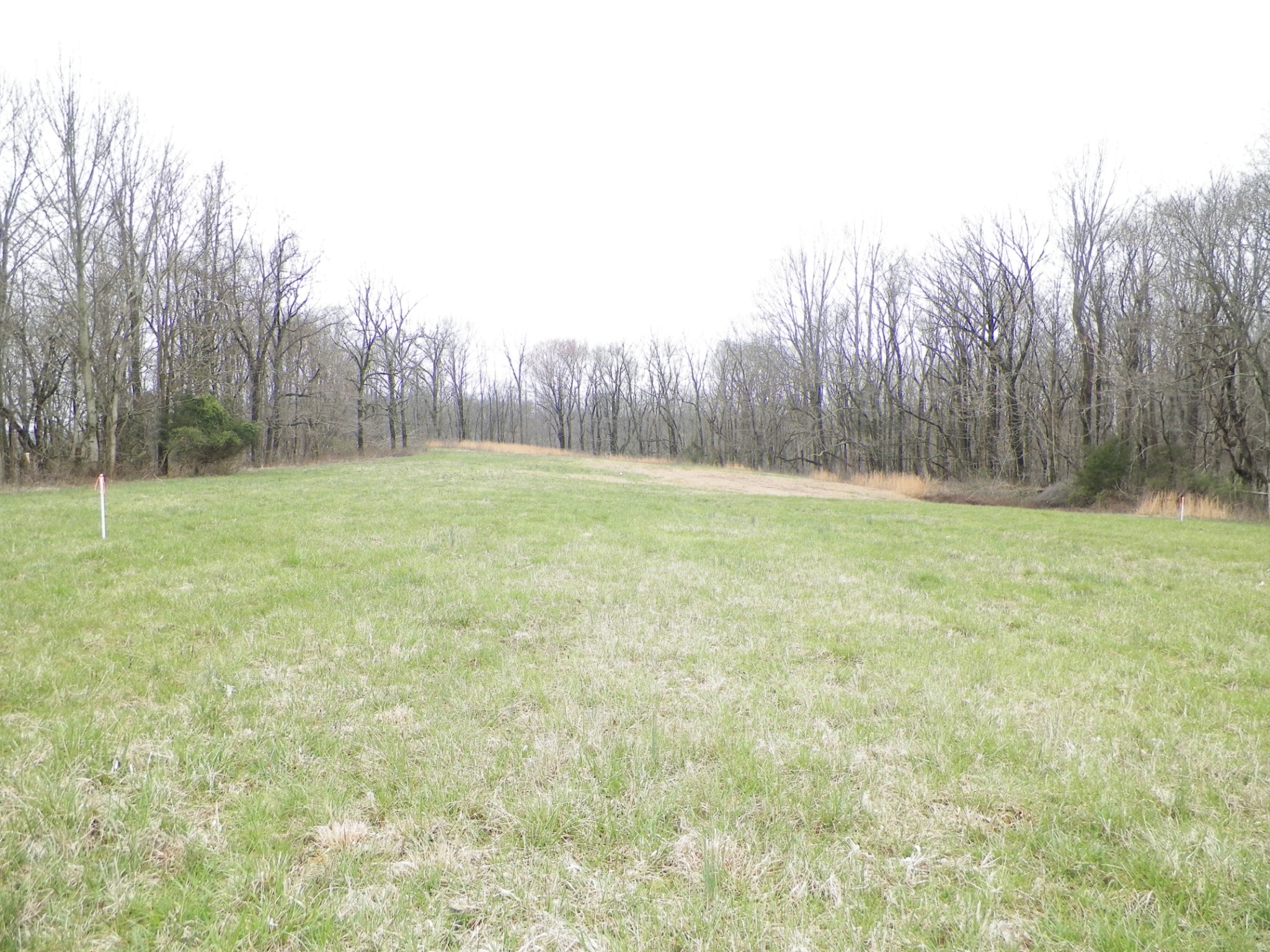2 Drury Ridge Road Lafayette, TN 37083 - Photo 1 of 1 Gallery Image 1