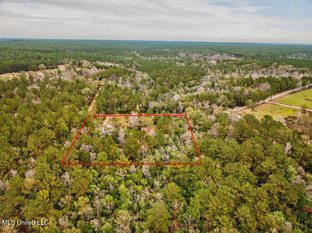 931 Benndale Road Wiggins, MS 39577 - Photo 3 of 55 931BenndaleRd-53