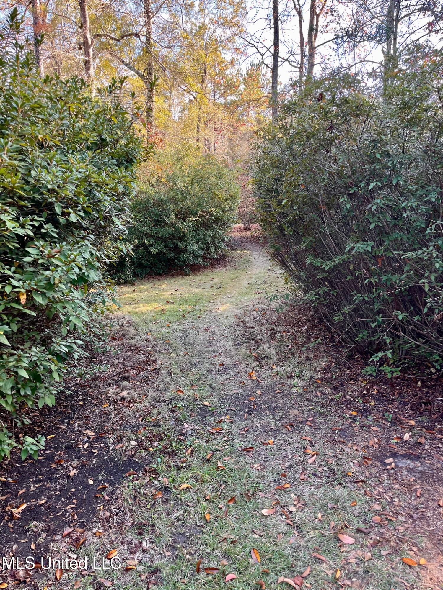 931 Benndale Road Wiggins, MS 39577 - Photo 33 of 55 IMG_2360