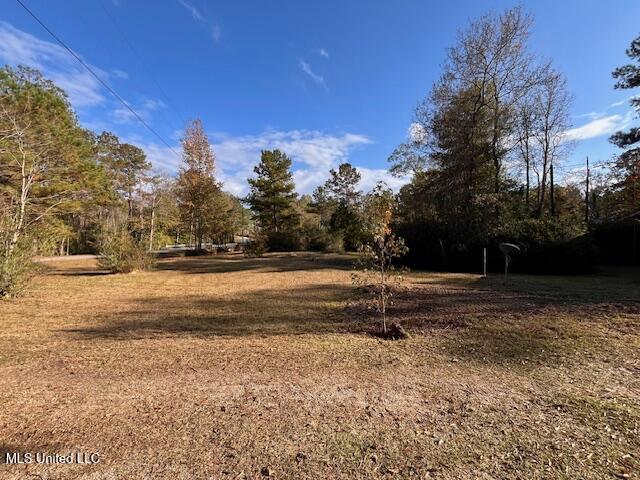 931 Benndale Road Wiggins, MS 39577 - Photo 48 of 55 IMG_2357