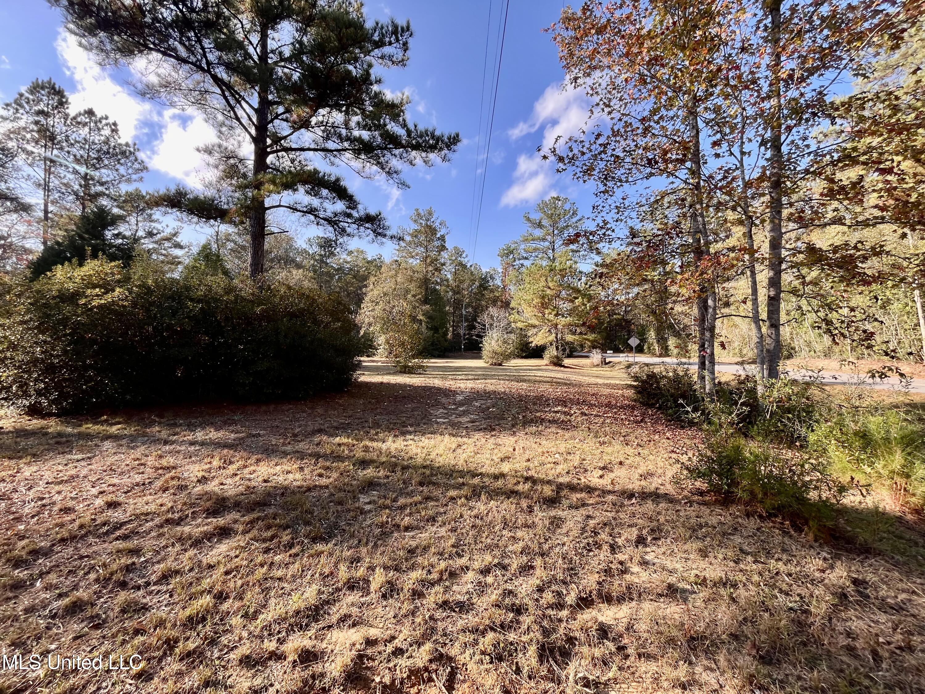 931 Benndale Road Wiggins, MS 39577 - Photo 49 of 55 IMG_2359