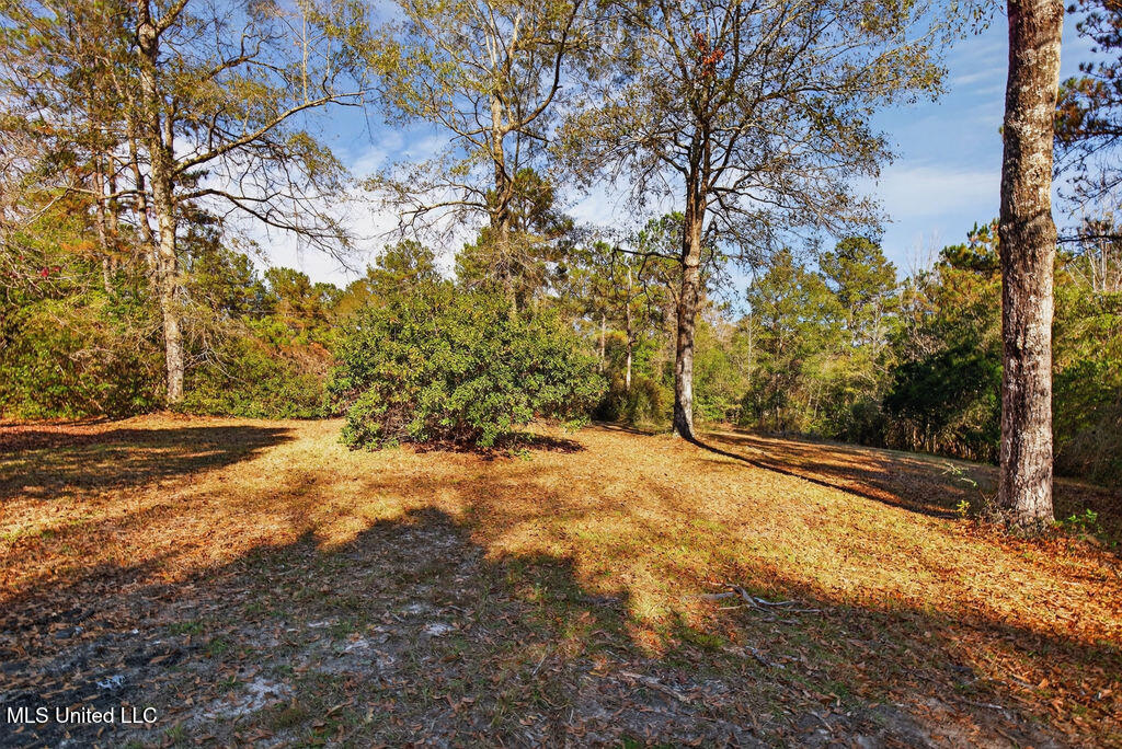 931 Benndale Road Wiggins, MS 39577 - Photo 51 of 55 931BenndaleRd-14
