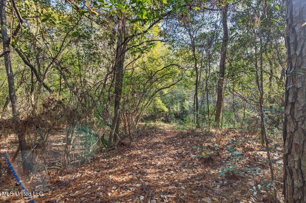 931 Benndale Road Wiggins, MS 39577 - Photo 52 of 55 931BenndaleRd-15