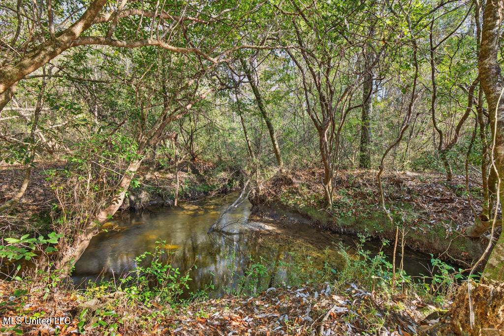 931 Benndale Road Wiggins, MS 39577 - Photo 53 of 55 931BenndaleRd-16
