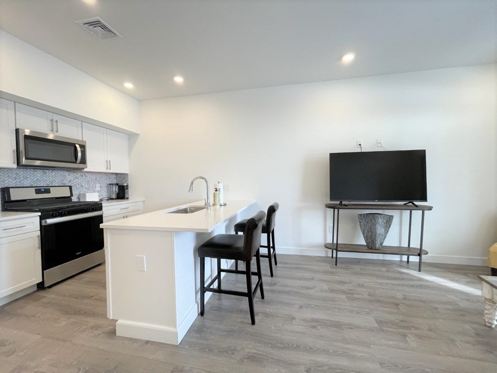 302 Broadway, Unit 202 Everett, MA 02149 - Photo 3 of 10