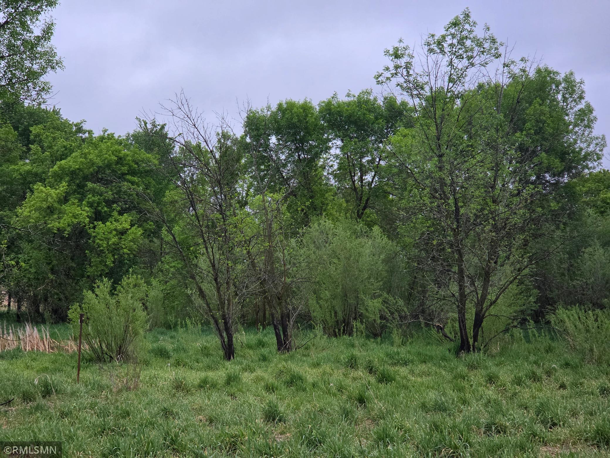Tbd Tbd 484th Lane Waterville, MN 56096 - Photo 8 of 52