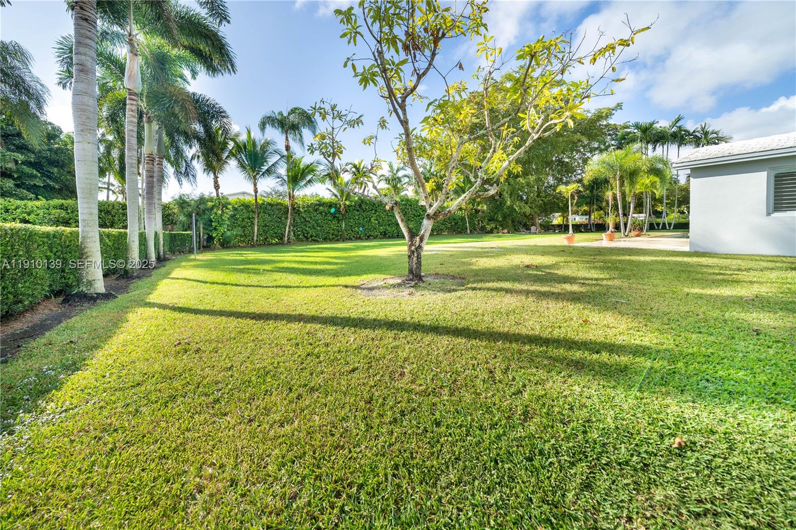 10320 Southwest 91st Street Miami, FL 33176 - Photo 28 of 30 a view of a park with large trees