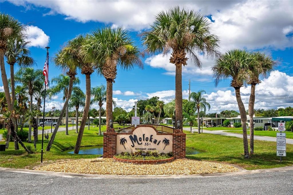 46 Kono Circle Leesburg, FL 34788 - Photo 34 of 37