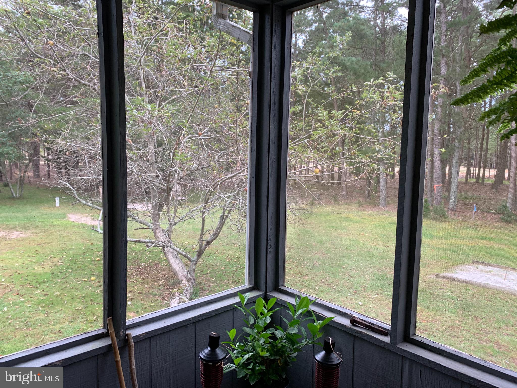 248 Forge Road West Creek, NJ 08092 - Photo 45 of 53