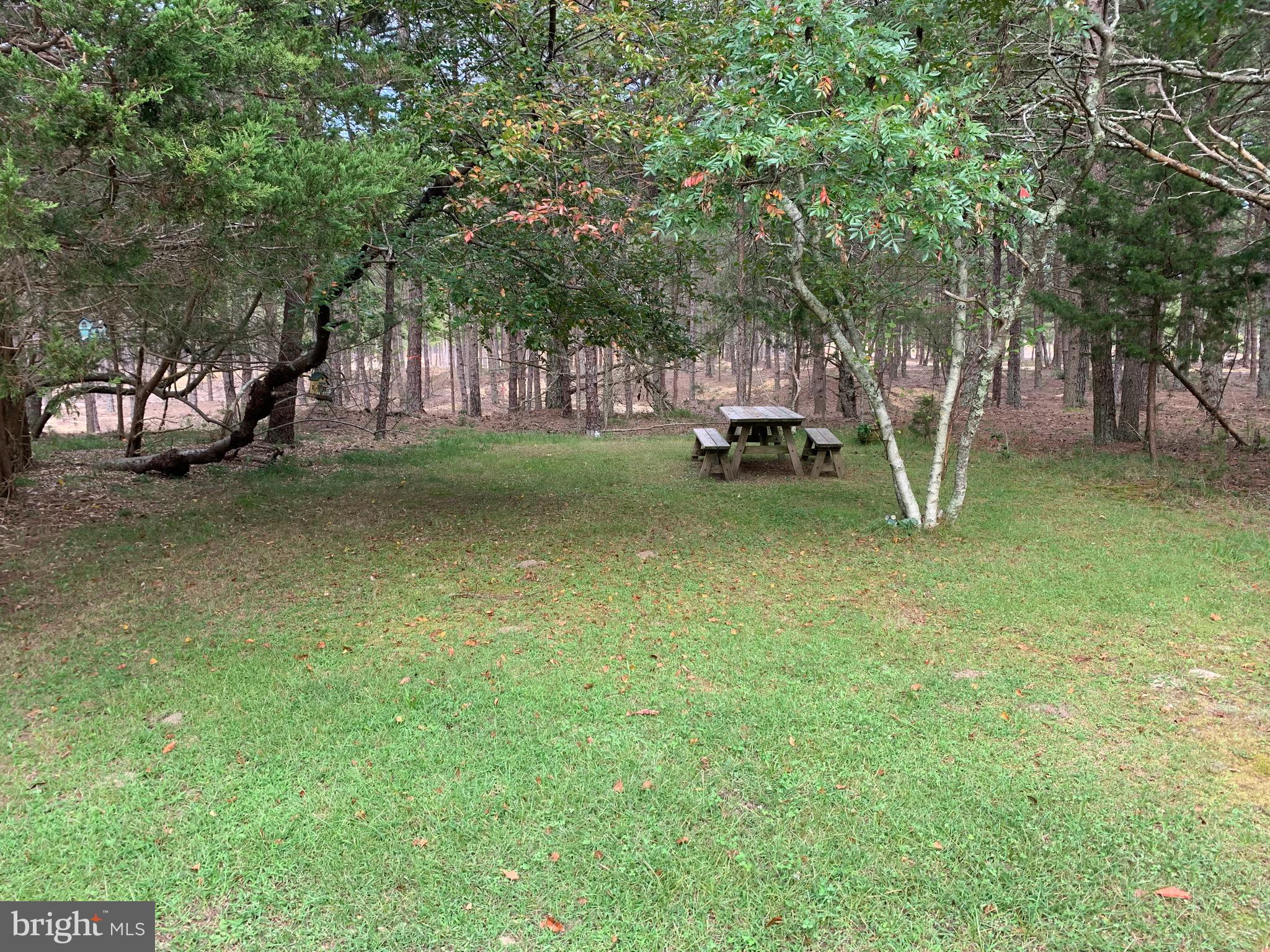 248 Forge Road West Creek, NJ 08092 - Photo 50 of 53