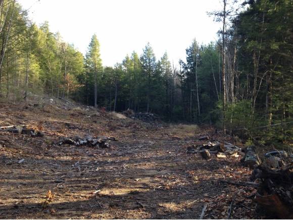 Lot 2 Stockbridge Corner Road New Durham, NH 03855 - Photo 1 of 7