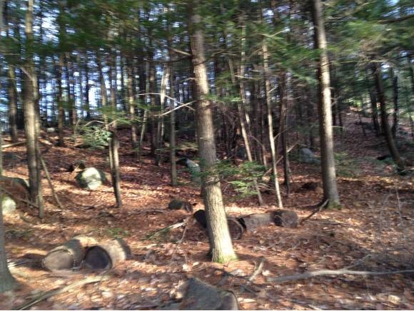 Lot 2 Stockbridge Corner Road New Durham, NH 03855 - Photo 3 of 7