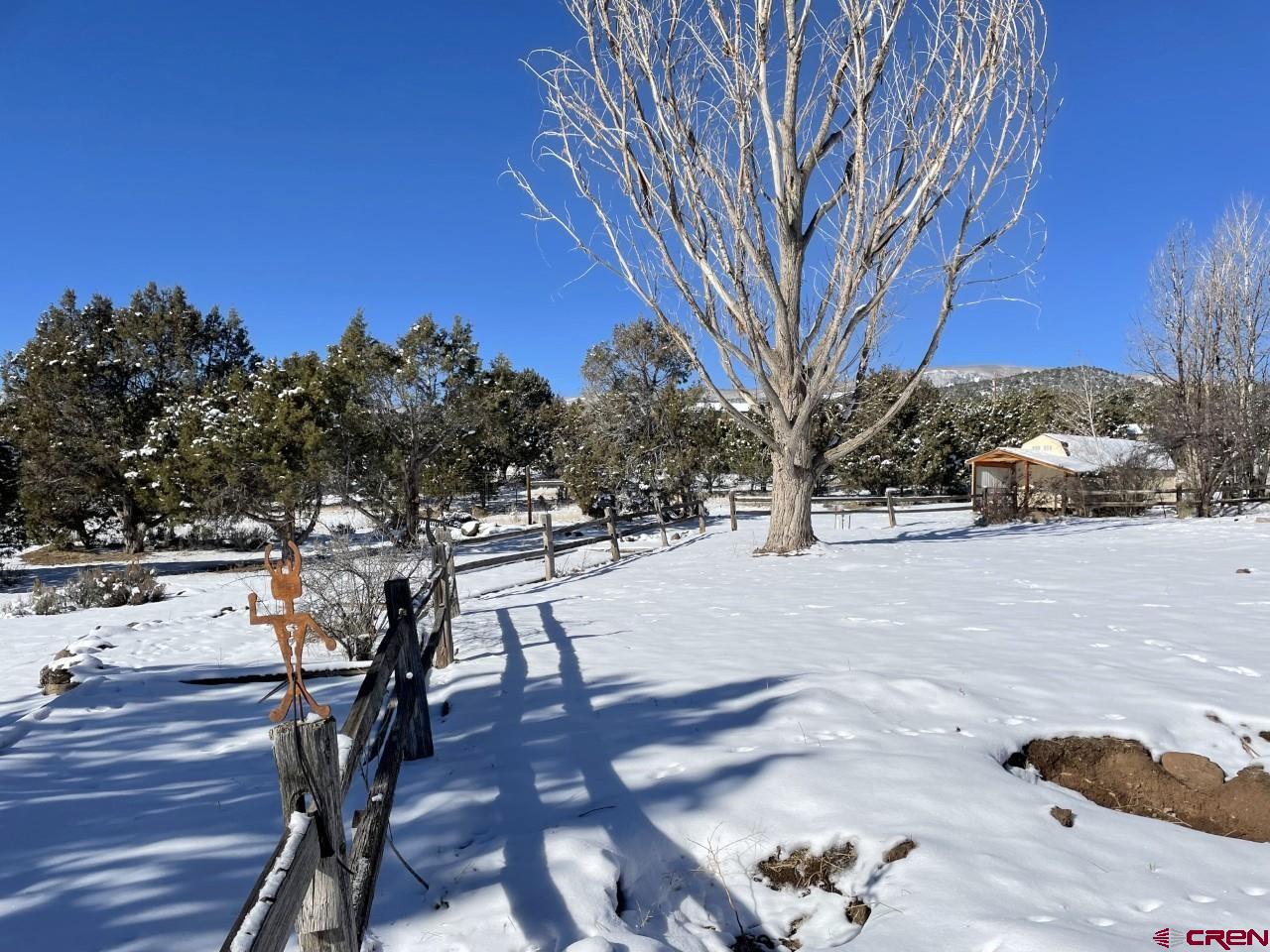 21566 Uintah Road Cedaredge, CO 81413 - Photo 29 of 33 a view of a yard with plants and trees
