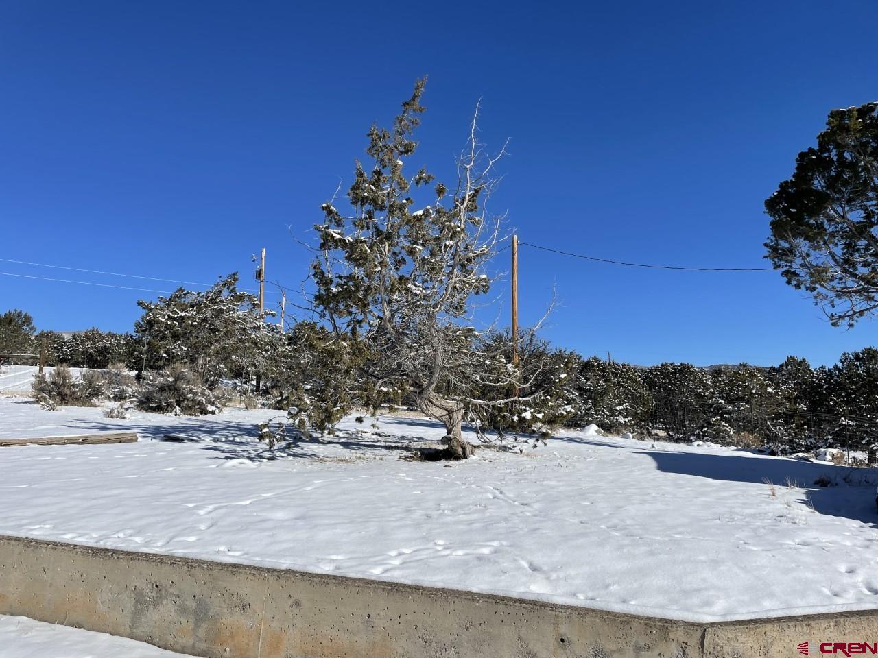 21566 Uintah Road Cedaredge, CO 81413 - Photo 31 of 33 a view of a outdoor space