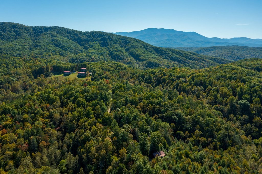 4230 Alpine Ridge Way Sevierville, TN 37876 - Photo 10 of 15 Gallery Image 10