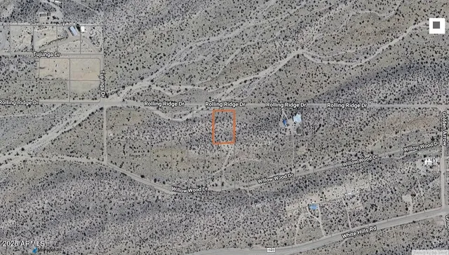 a view of a dry yard with lots of trees