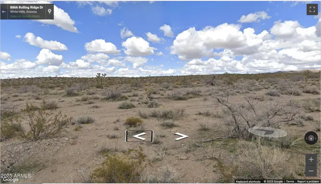 a view of a dry yard with lots of trees