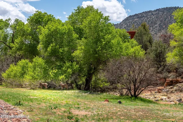 a backyard of a house with lots of green space