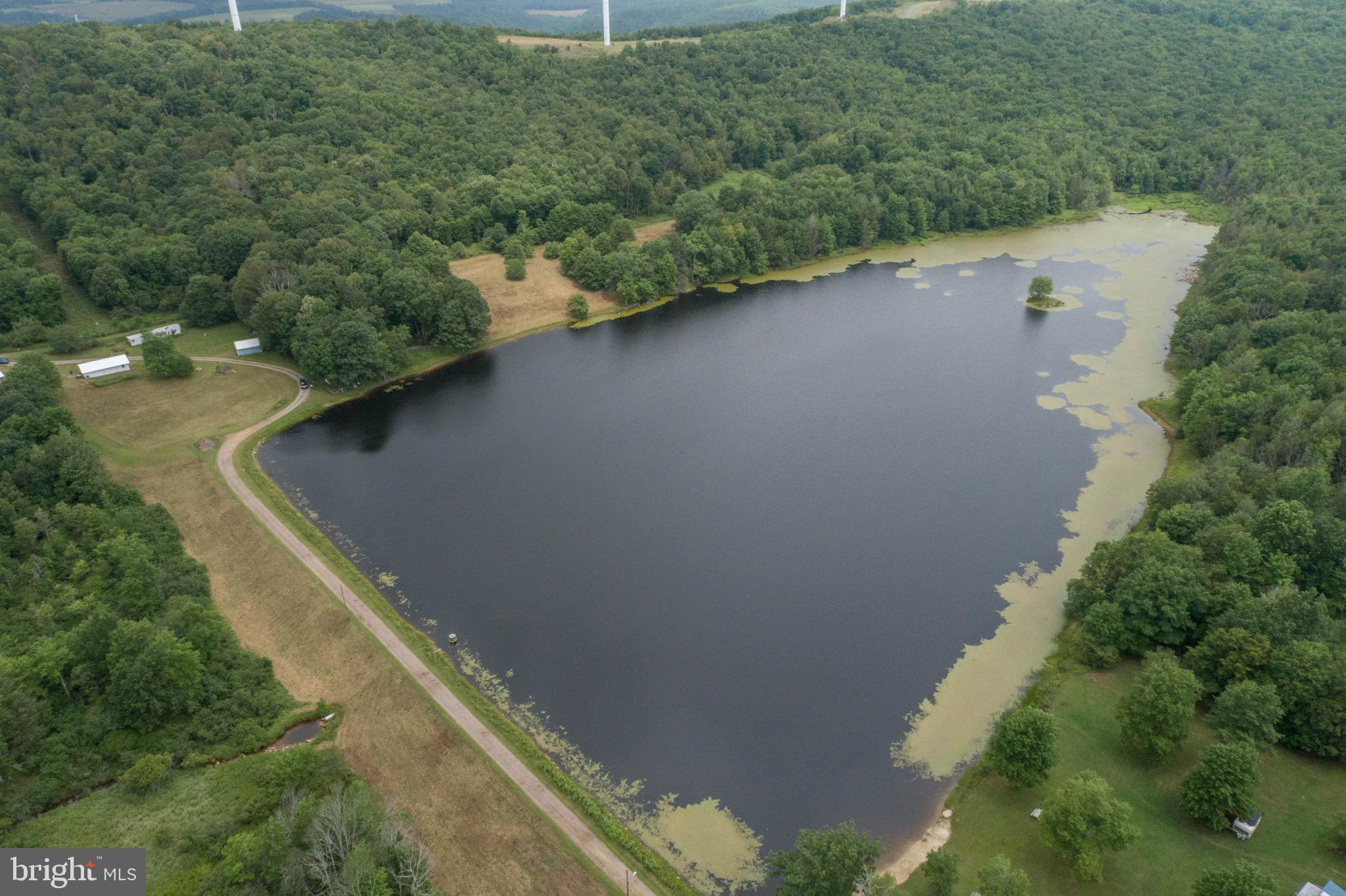3580 Avilton Lonaconing Road Lonaconing, MD 21539 - Photo 5 of 18