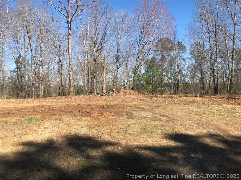 788 Lower River Road Broadway, NC 27505 - Photo 16 of 19 Gallery Image 16