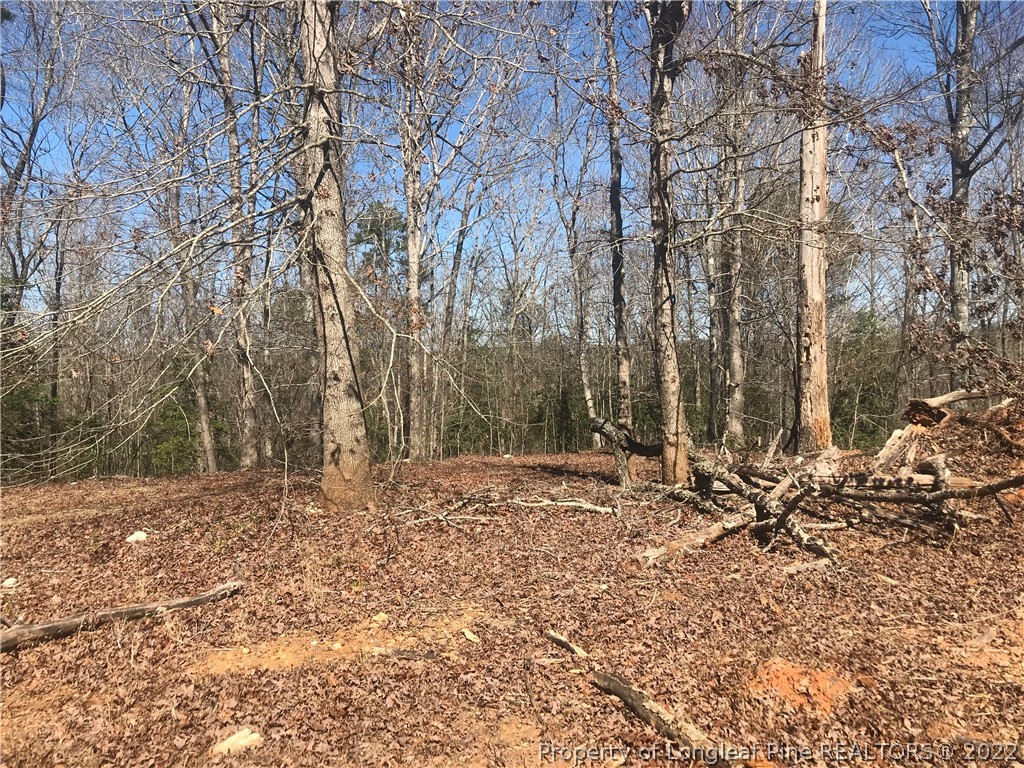 788 Lower River Road Broadway, NC 27505 - Photo 17 of 19 Gallery Image 17