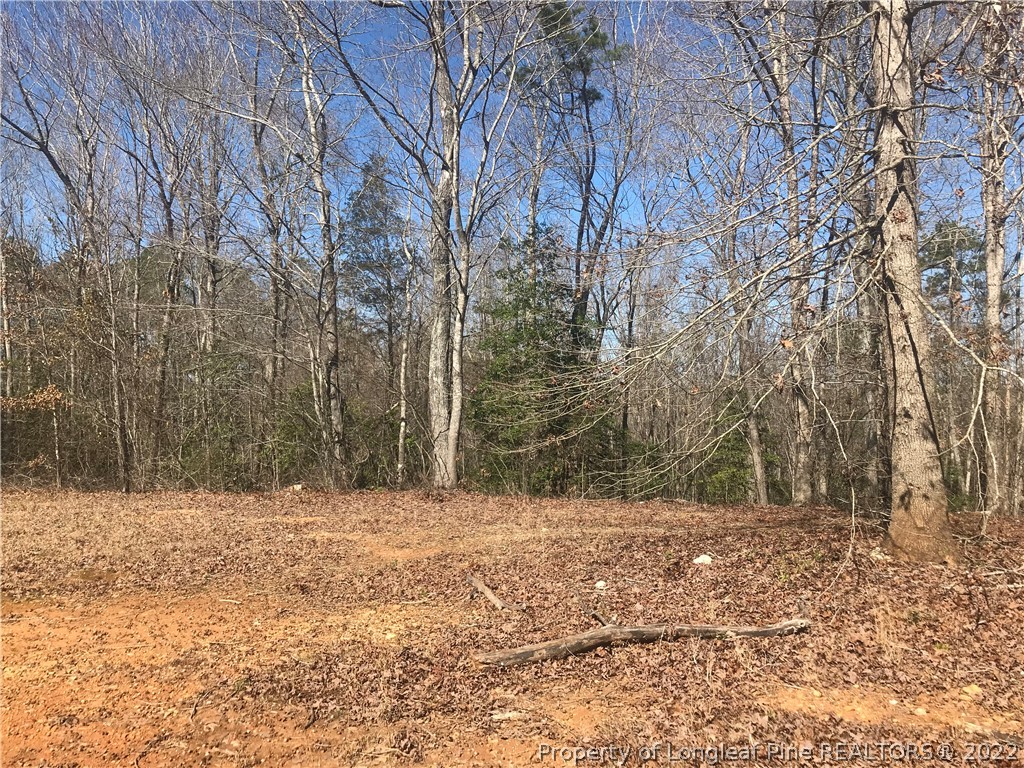 788 Lower River Road Broadway, NC 27505 - Photo 18 of 19 Gallery Image 18