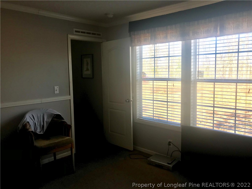 788 Lower River Road Broadway, NC 27505 - Photo 9 of 19 Gallery Image 9
