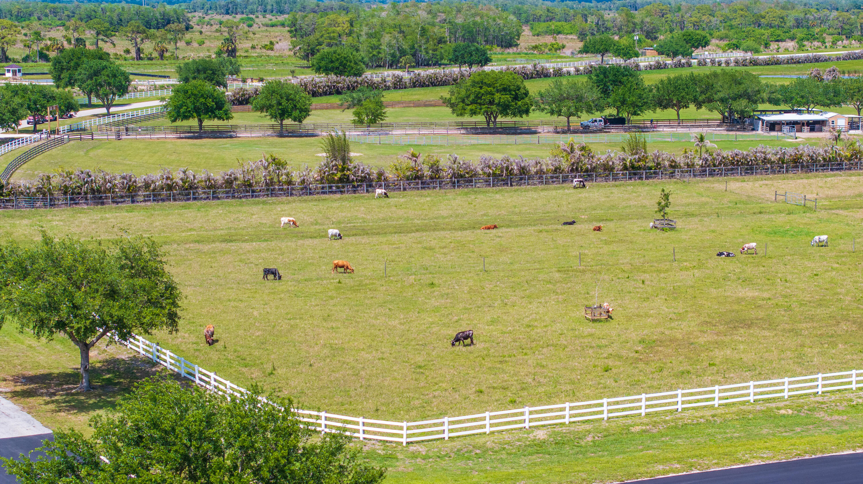 2097 Southwest Trailside Path Stuart, FL 34997 - Photo 17 of 20 DJI_20260416144945_0510_D_G