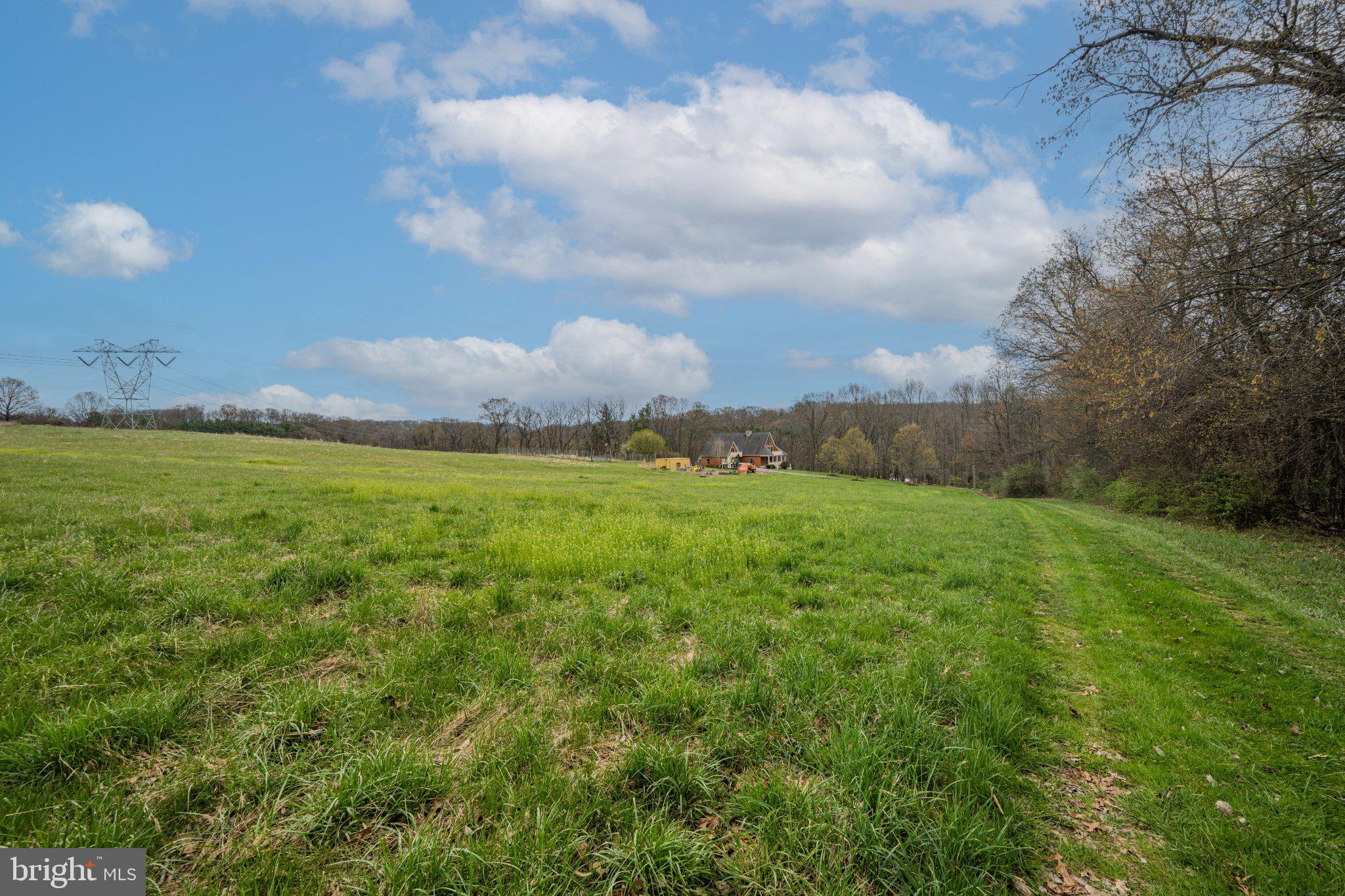 21042 Millers Mill Road Freeland, MD 21053 - Photo 59 of 122 a view of a big yard with lots of green space