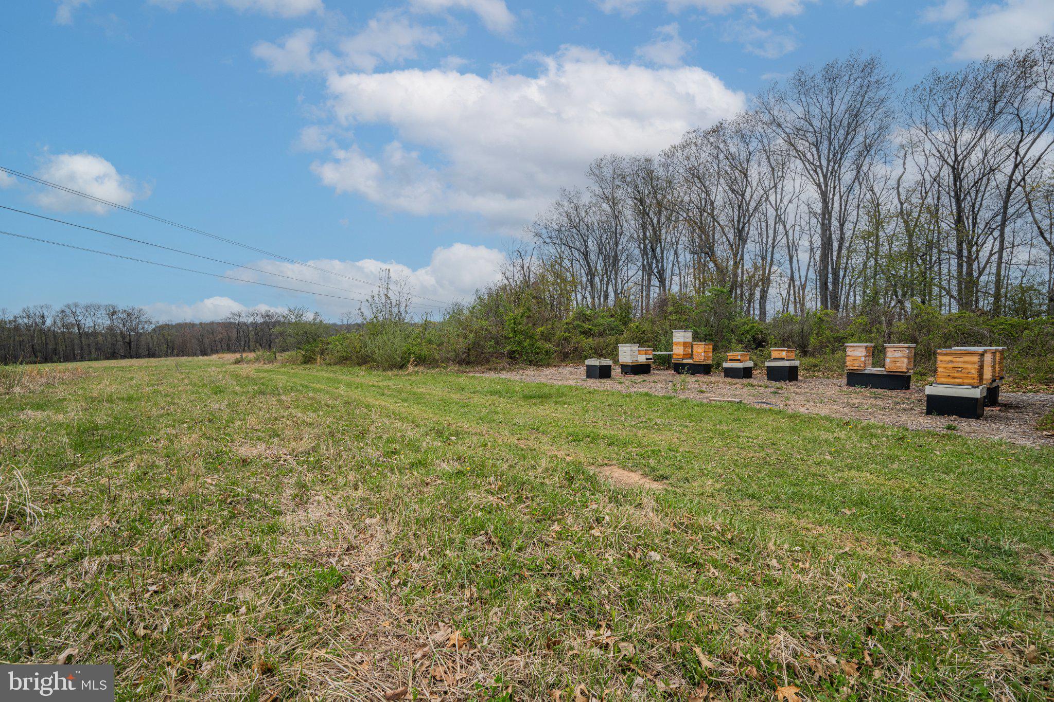 21042 Millers Mill Road Freeland, MD 21053 - Photo 60 of 122 Buzzing Harmony: A Beekeeper's Haven