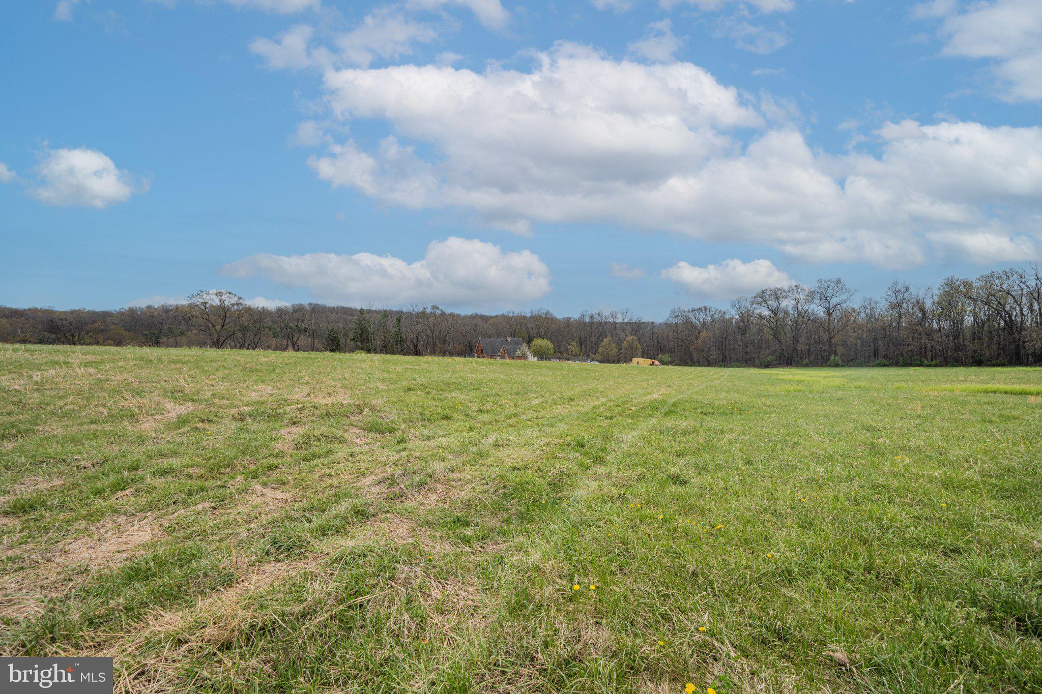 21042 Millers Mill Road Freeland, MD 21053 - Photo 76 of 122 Vast green fields under a blue sky.