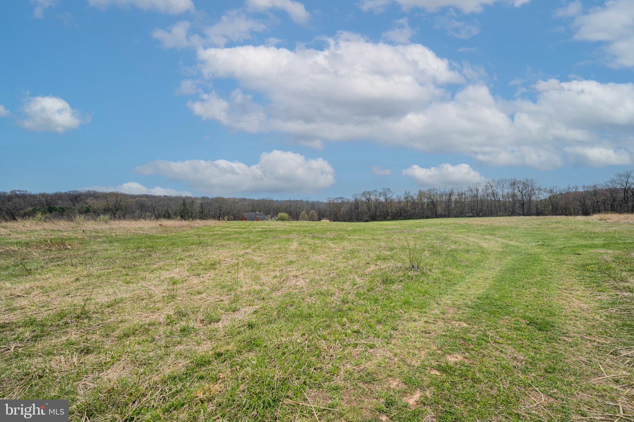 21042 Millers Mill Road Freeland, MD 21053 - Photo 79 of 122 Vast green fields under a blue sky.