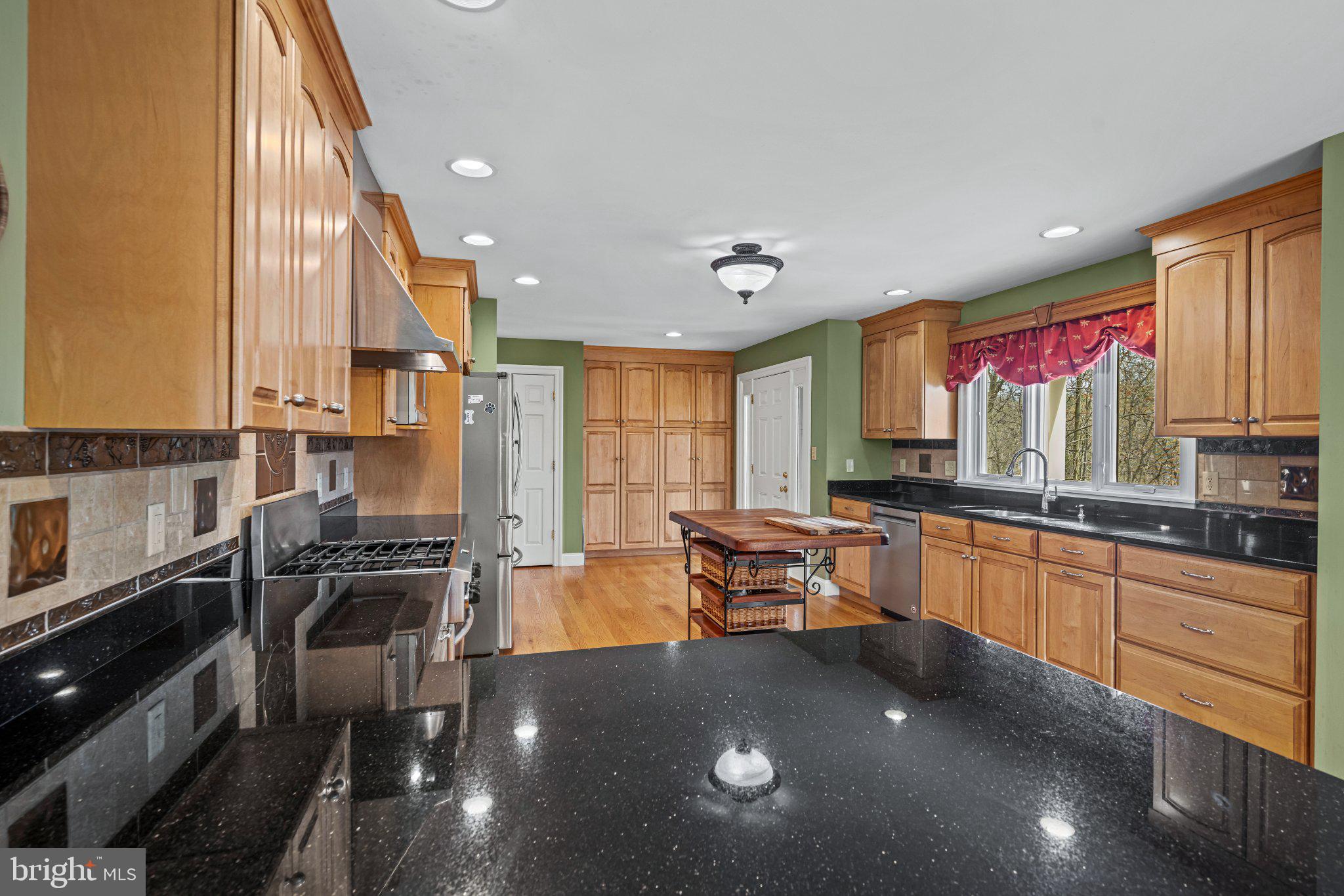 21042 Millers Mill Road Freeland, MD 21053 - Photo 85 of 122 Modern kitchen with elegant finishes.