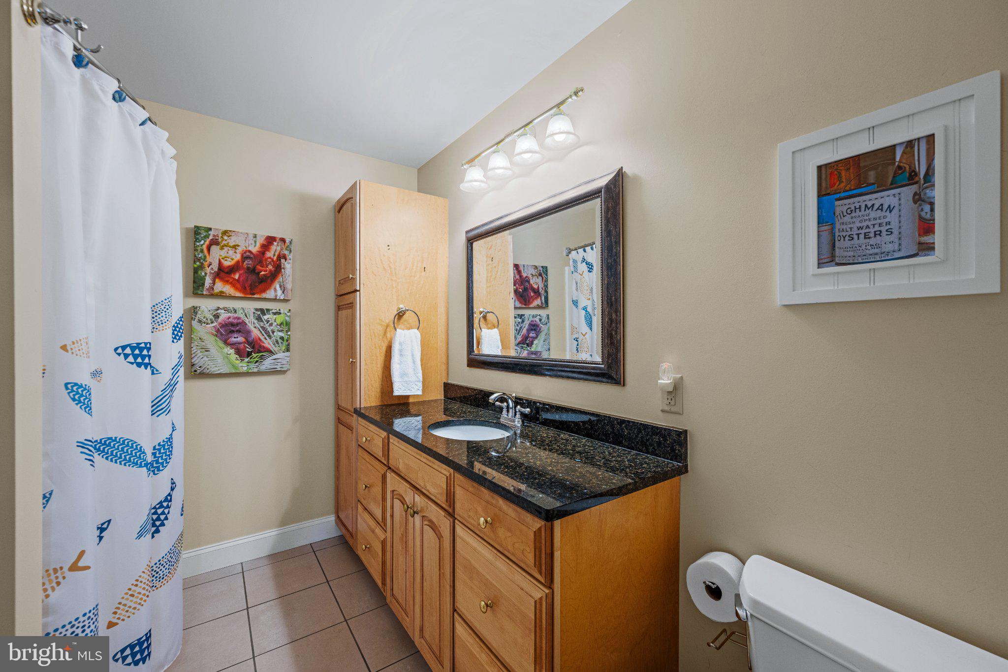21042 Millers Mill Road Freeland, MD 21053 - Photo 95 of 122 Charming bathroom with modern touches.